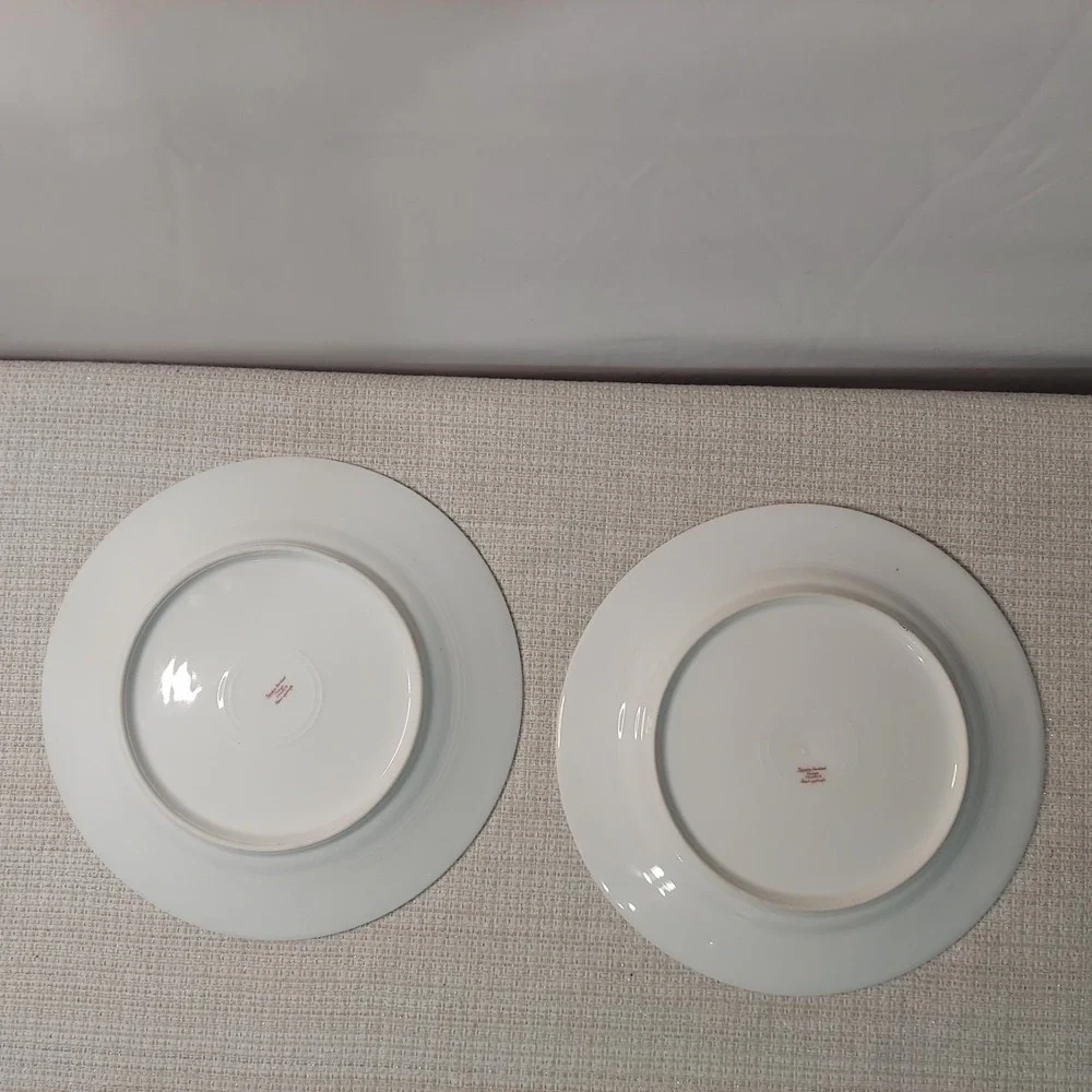 ANTIQUE Theodore Haviland Limoges France Patent Applied 2 Dinner‎ Plates Floral